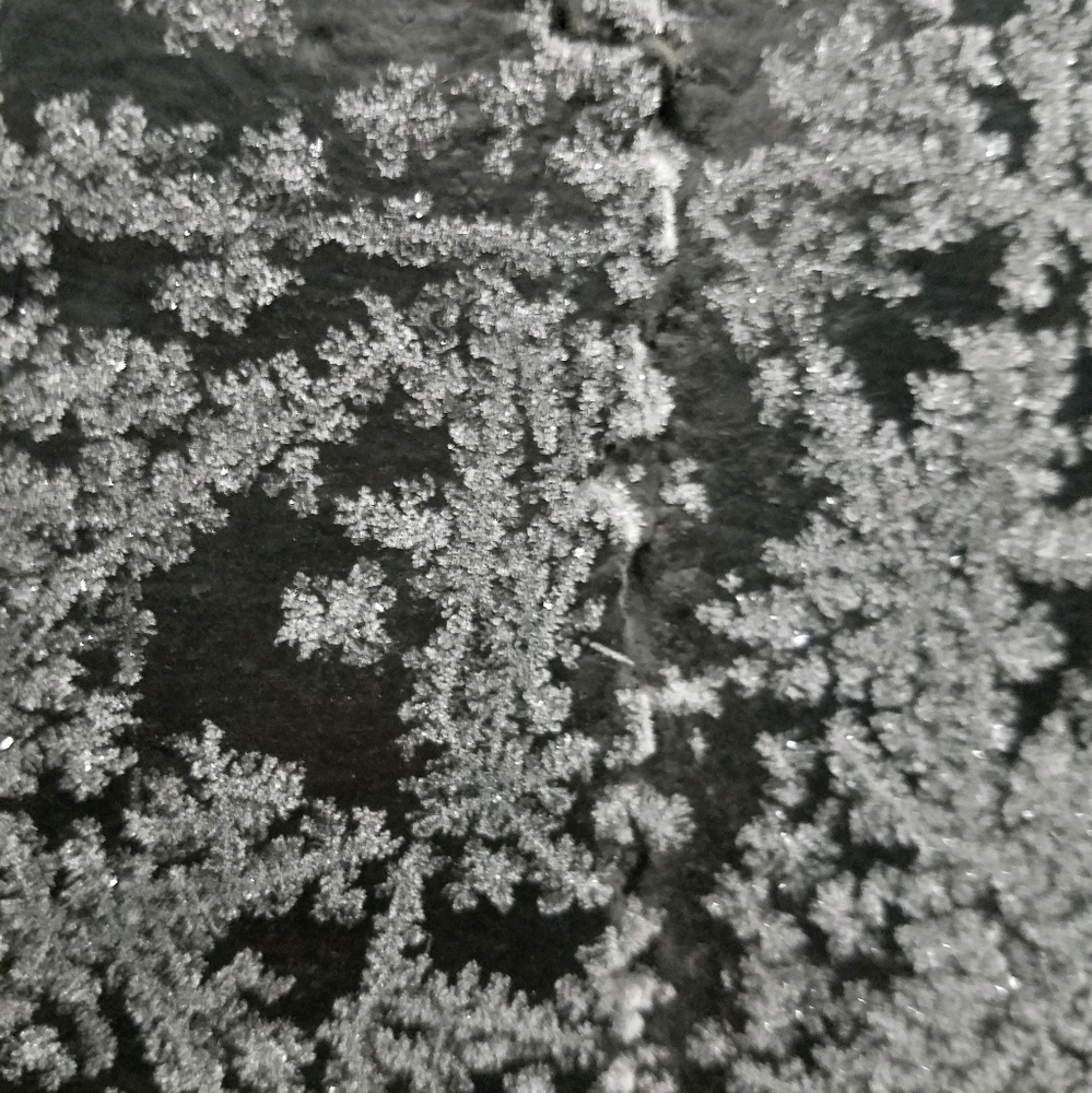 Meet your Posher, Alexis